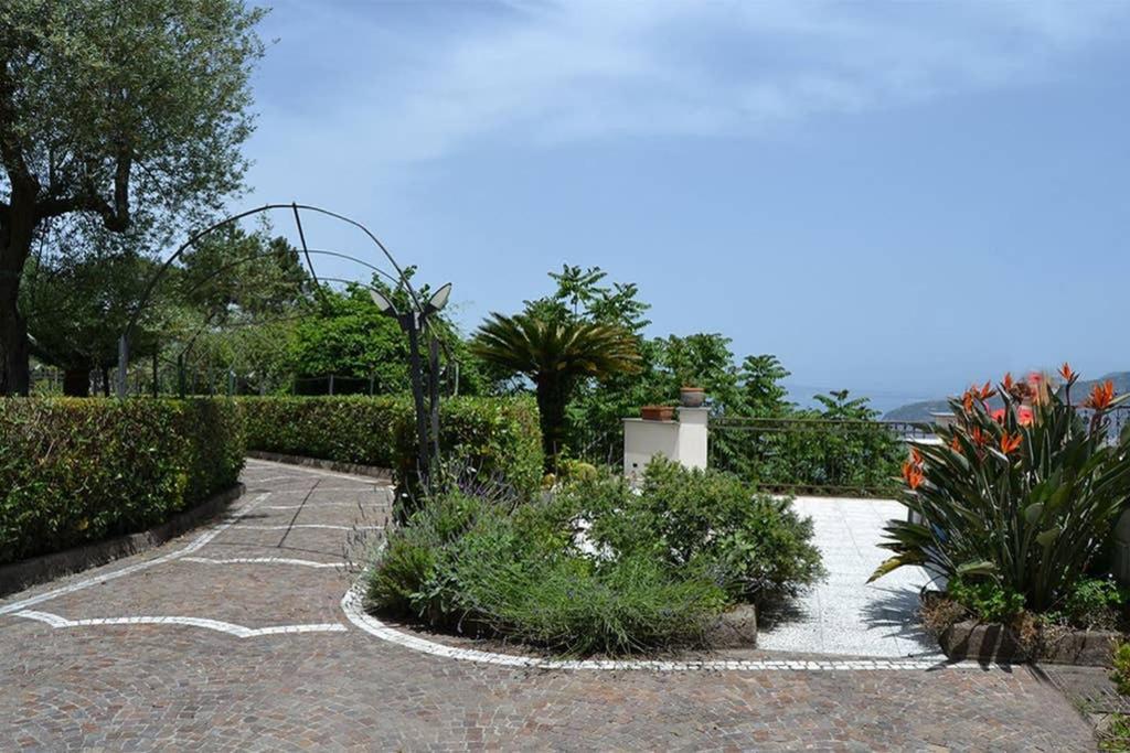 Casa Joyce Leilighet Sorrento Eksteriør bilde